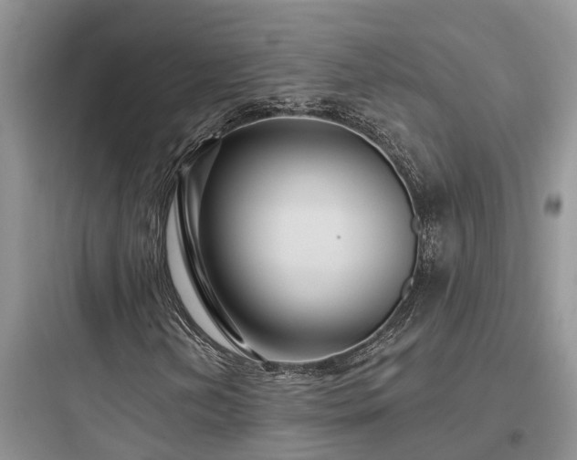 X0000097911202200803211456