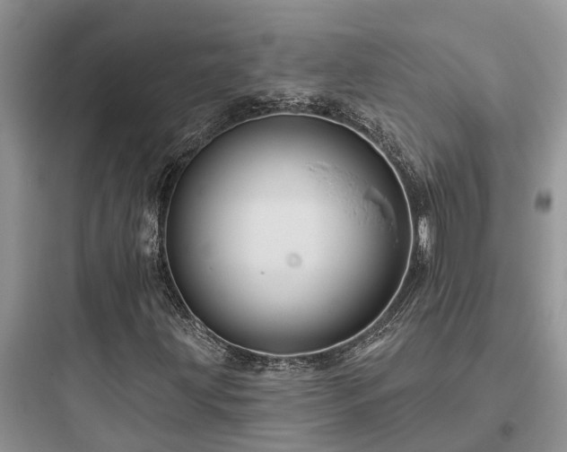 X0000097911203200803211456