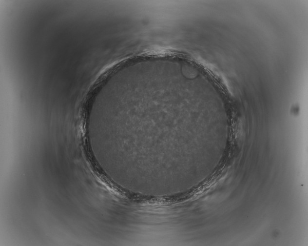 X0000097911206200803211456