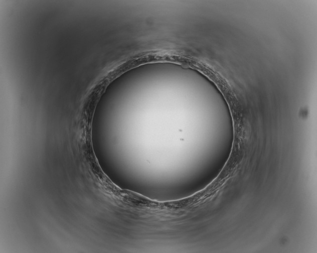 X0000097911207200803211456