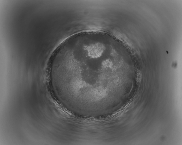 X0000097911208200803211456