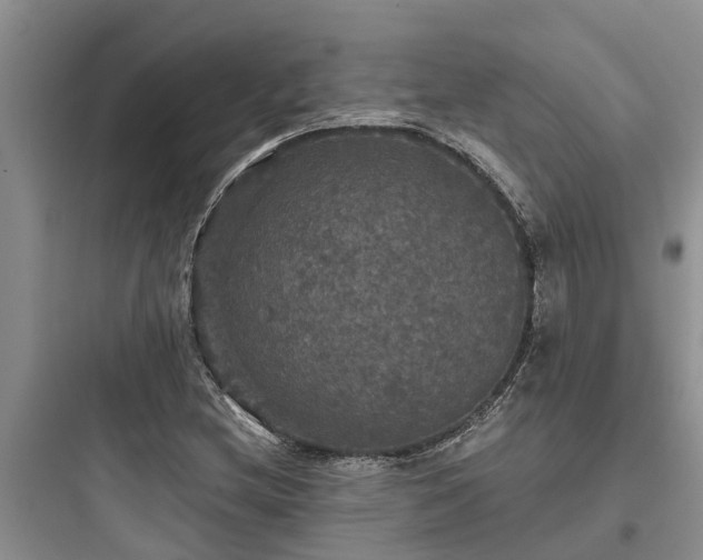 X0000097911212200803211456