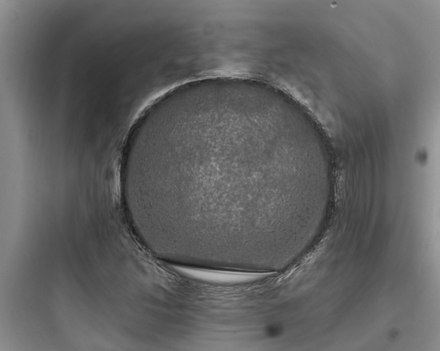 X0000097911214200803211457