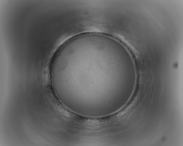 X0000097911215200803211457