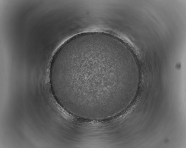 X0000097911216200803211457