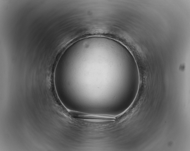 X0000097911217200803211457