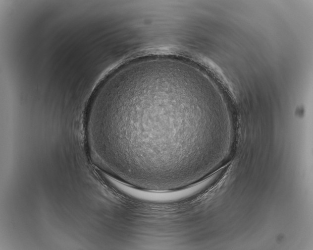 X0000097911218200803211457