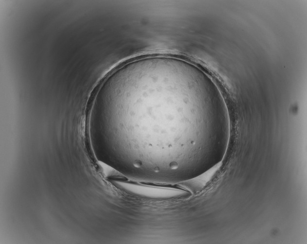 X0000097911220200803211457