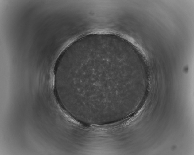 X0000097911221200803211457