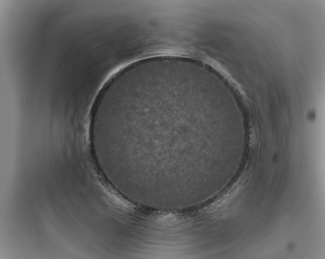 X0000097911222200803211457