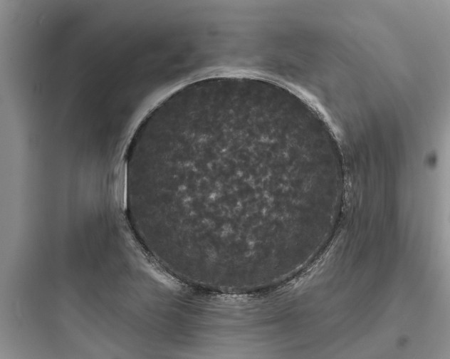 X0000097911223200803211457