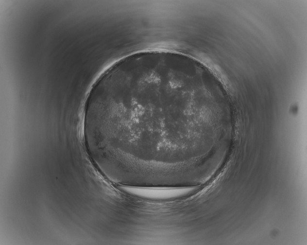 X0000097911224200803211457