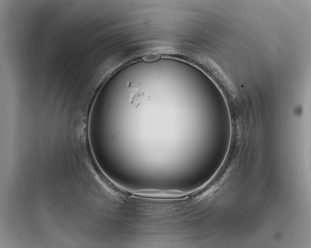 X0000097911225200803211457