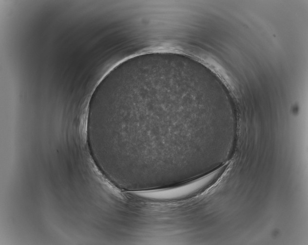 X0000097911228200803211457