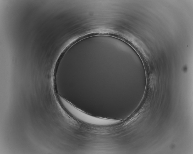 X0000097911229200803211457