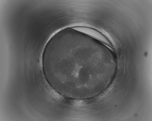 X0000097911230200803211457