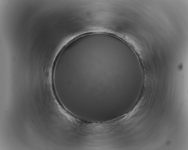 X0000097911231200803211457