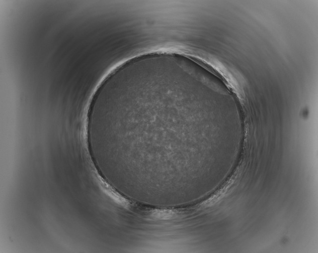 X0000097911232200803211457