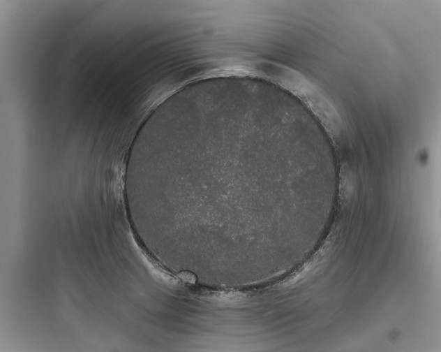 X0000097911233200803211457