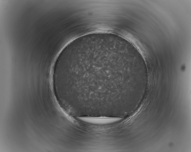 X0000097911235200803211457