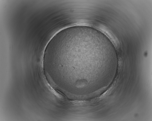 X0000097911236200803211457