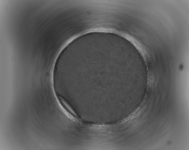 X0000097911237200803211457