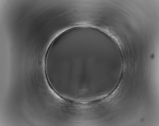 X0000097911239200803211457