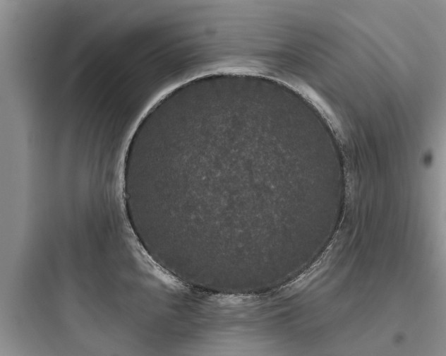 X0000097911240200803211457