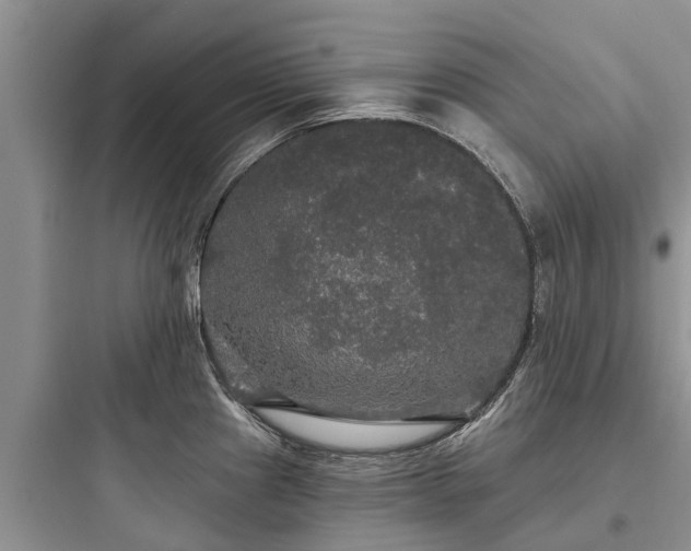 X0000097911241200803211457