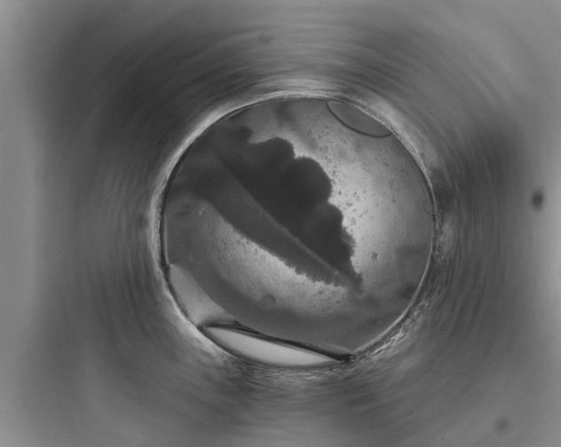 X0000097911243200803211457