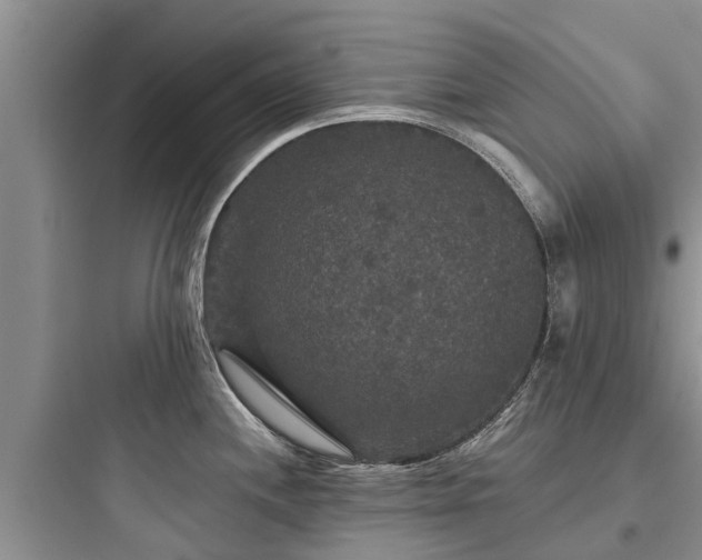 X0000097911244200803211457