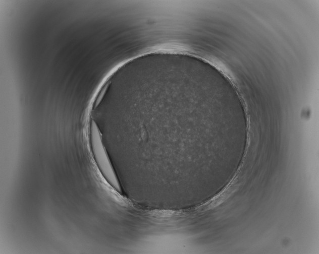 X0000097911248200803211457