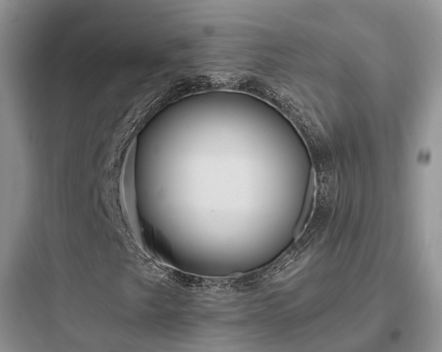 X0000097911249200803211456