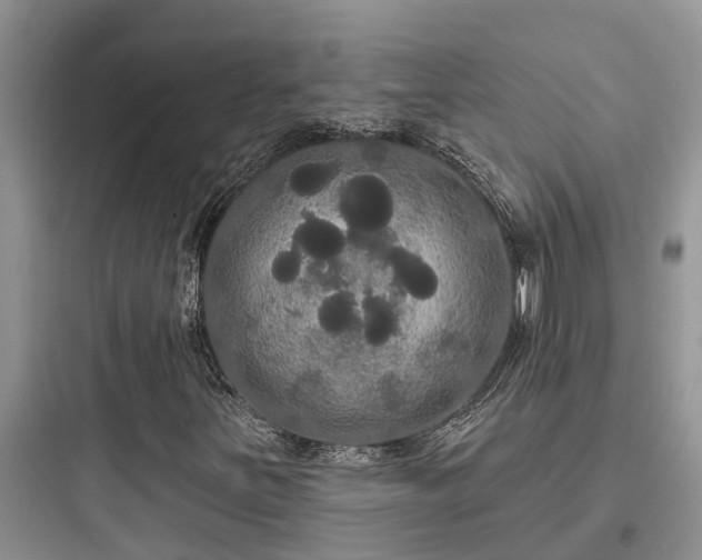 X0000097911251200803211456