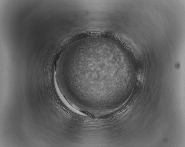 X0000097911252200803211456