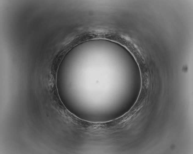 X0000097911253200803211456