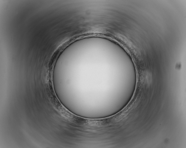 X0000097911258200803211456