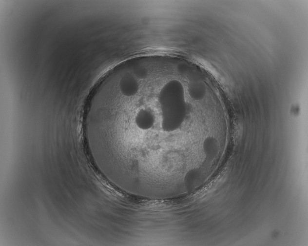 X0000097911259200803211456