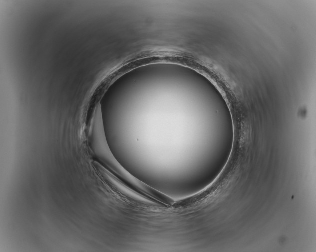 X0000097911261200803211456