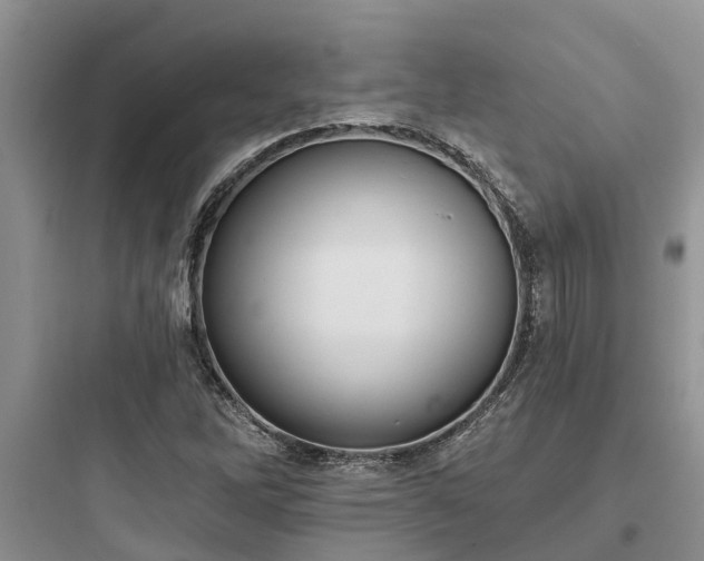 X0000097911262200803211456