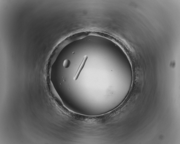 X0000097911264200803211456