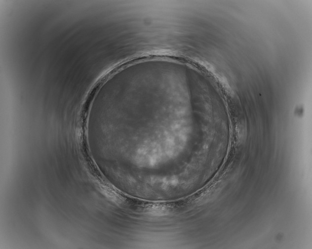 X0000097911266200803211456