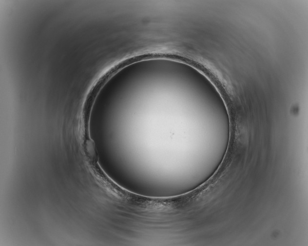 X0000097911270200803211456