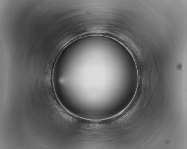 X0000097911273200803211456