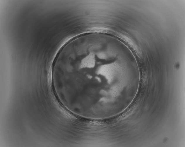 X0000097911275200803211456