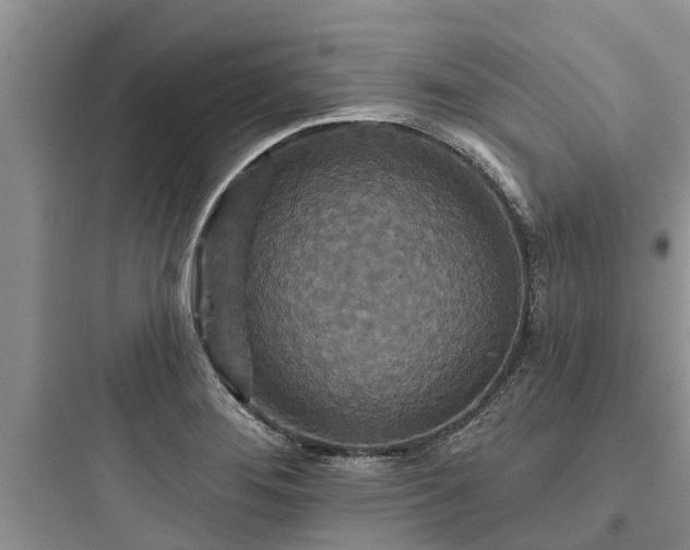 X0000097911276200803211456