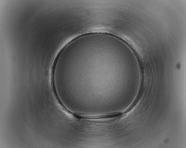 X0000097911277200803211456