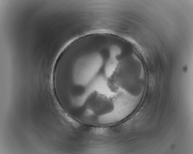 X0000097911278200803211456