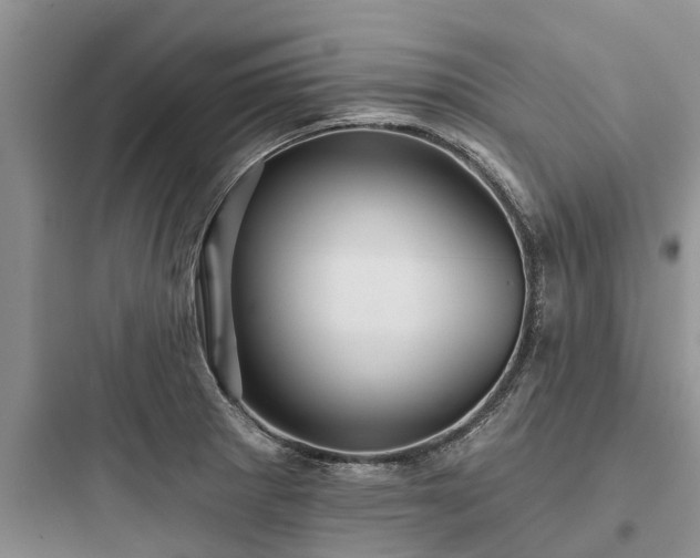 X0000097911281200803211456