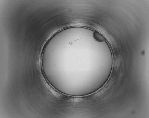 X0000097911282200803211456